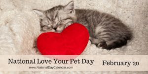 love your pet day 2019